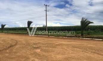 Imagem 5: Terreno - Camanducaia - Monte Alegre do Sul