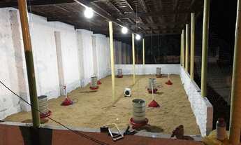 Imagem 5: CHÁCARA EM TEOTÔNIO VILELA ? VENDE SE