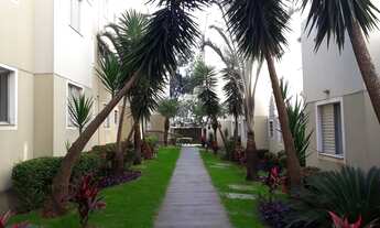 Imagem 5: Apto em americana condomínio aramis