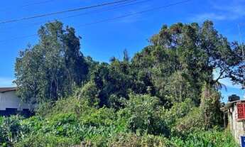 Imagem 6: Terreno a poucos metros da praia de Boracéia - São Sebastião