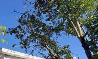 Imagem 2: EXCELENTE C/ 190M² TERRENO SANTO AMARO/AO LADO ESTAÇÃO METRÔ E TREM