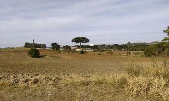 Imagem 3: Ótimo Terreno para condomínio à 5 min da Prefeitura C Magro