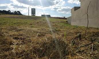 Imagem 5: Terreno Plano 250m2, Rua sem Saida, Residencial Tosi, Infraestrutura Completa, Linda Vista