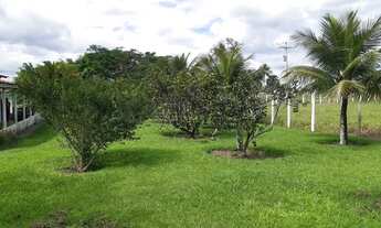 Imagem 3: Sítio Chácara com venda por R$400.000