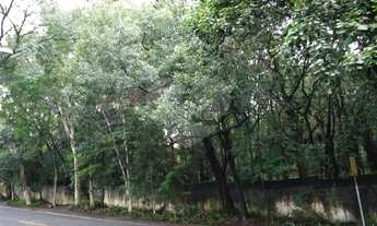 Imagem 6: AV. DE GRANDE FLUXO - LOCALIZAÇÃO PRIVILEGIADA