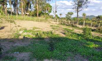 Imagem 5: Chacara 2.000 Metros Com casa 5 cômodos piscina