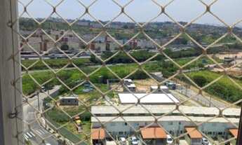 Imagem 6: Veredas de Quitaúna