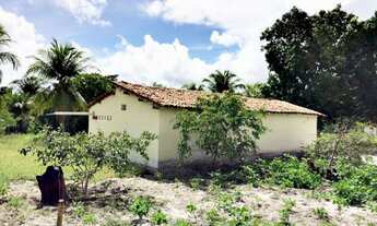 Imagem 2: Vendo Sítio de 1 Hectare em Horizonte(CE) - Oportunidade!