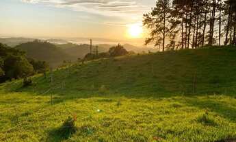 Imagem 5: Terrenos em Santa Isabel proximo do centro!