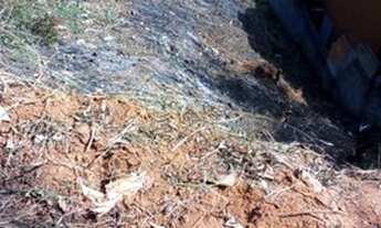 Imagem 2: Lote com 452m² Terreno / lote com venda por R$165.000