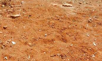 Imagem 3: Lote de esquina 145M²- Riacho Fundo 2