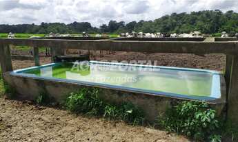 Imagem 4: Fazenda no Pará - Castanhal - 1163 ha (240 alq