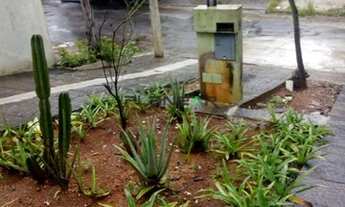 Imagem 3: Casa Jardim Riacho das Pedras