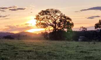 Imagem 7: Chácaras de lazer em condomínio - corretores 62- */