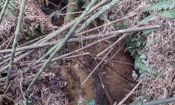 Imagem 4: Área 326.000 m² - 3 nascentes e 2 rios - Fuja da Cidade