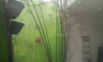 Imagem 4: Sobrado Comercial e Residêncial, em Moema atrás do hospital Moriah da Igreja Universal co