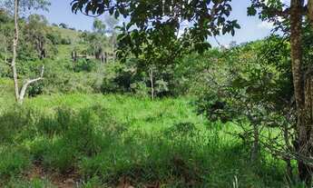 Imagem 3: Fazenda 18 hectares várias nascentes ideal para pousada linda vista
