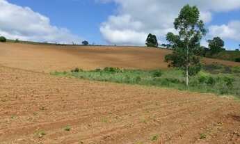 Imagem 3: Fazenda/sítios/chácaras com 3 dormitórios à venda em Pouso Alegre