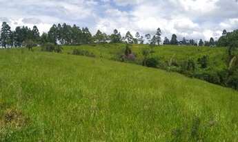 Imagem 4: 1-Lote/Terreno para venda possui 500 metros quadrados em Centro - Mairiporã - SP