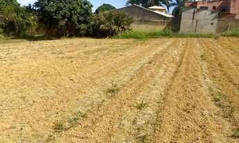 Imagem 2: Lote Vicente Pires 265.000