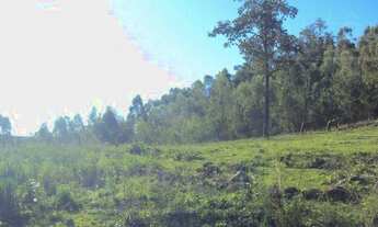 Imagem 6: Caxias Do Sul - Terreno Padrão - Santa Corona