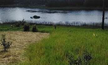 Imagem 7: Lagoa do Cassange Península de Maraú