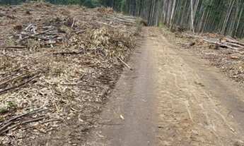 Imagem 4: Investimento top