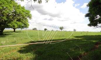 Imagem 7: área - Vila Hollândia - Campinas