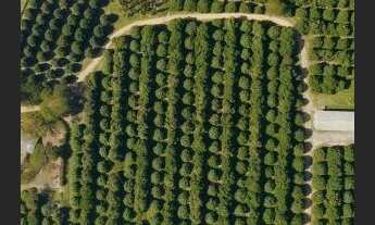 Imagem 6: Sítio com 5 dormitórios à venda, 241100 m² por R$ 8.000.000 - Centro - Porto Feliz/SP