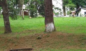 Imagem 7: Atenção Empreendedores! Sítio 12.000m² à Venda Ideal para Construção de Casas Populares