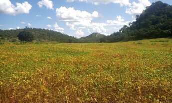 Imagem 7: Fazenda para venda possui 101 Alqueires na Vila Propicio- Go