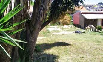 Imagem 3: Caxias Do Sul - Terreno Padrão - Interlagos