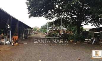 Imagem 3: Salão/Galpão (salão - térreo