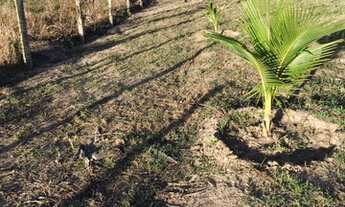 Imagem 3: Sítio Chácara com venda por R$220