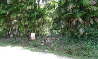 Imagem 3: Terreno, Praia da Lagoinha, Ubatuba - R$ 500 mil, Cod: 535