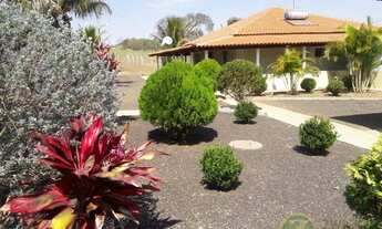 Imagem 5: Venda: Ótima Propriedade Rural entre Agudos-Bauru