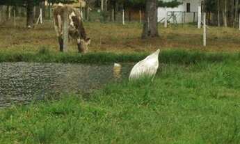 Imagem 7: Casa a venda em Lages