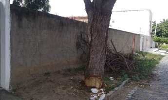 Imagem 3: Terreno próximo ao cemitério Morada da Paz