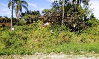 Imagem 2: Excelente terreno muito bem localizado no Bairro Costeira em Balneário Barra do Sul