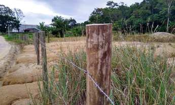 Imagem 6: Ótimo terreno à venda em Costa do Morro, Paulo Lopes