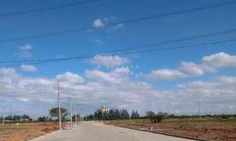 Imagem 4: CANOAS - Terreno Padrão - Sao Luis