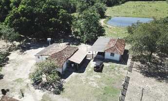 Imagem: Fazenda com 117 alqueires Região de Goiás