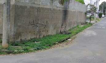 Imagem 3: Lote/Terreno para venda com 4000 metros quadrados em São Francisco - Belo Horizonte - MG