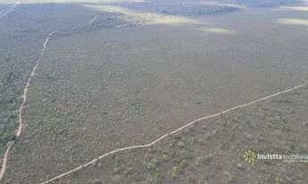 Imagem: Fazenda à venda, 614Ha - em TUPIRATINS/TO