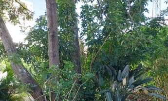 Imagem 3: EXCELENTE C/ 190M² TERRENO SANTO AMARO/AO LADO ESTAÇÃO METRÔ E TREM