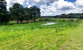 Imagem 2: Excelente chácara Sem Benfeitorias