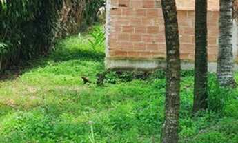 Imagem 2: Terreno com casa cintamento Travessa Macapá R$ 60.000,00