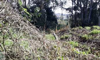 Imagem 5: Oportunidade! Terreno próximo a comercio e transporte