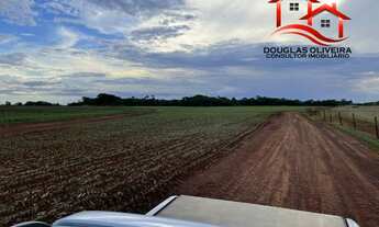 Imagem 2: Fazenda 100 Alqueirão Região De Porteirão/GO