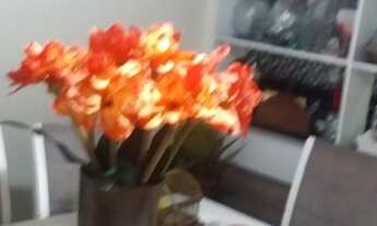 Imagem 4: Rio de Janeiro - Apartamento Padrão - Cachambi